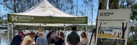 Learn about the Living Foreshore workstream