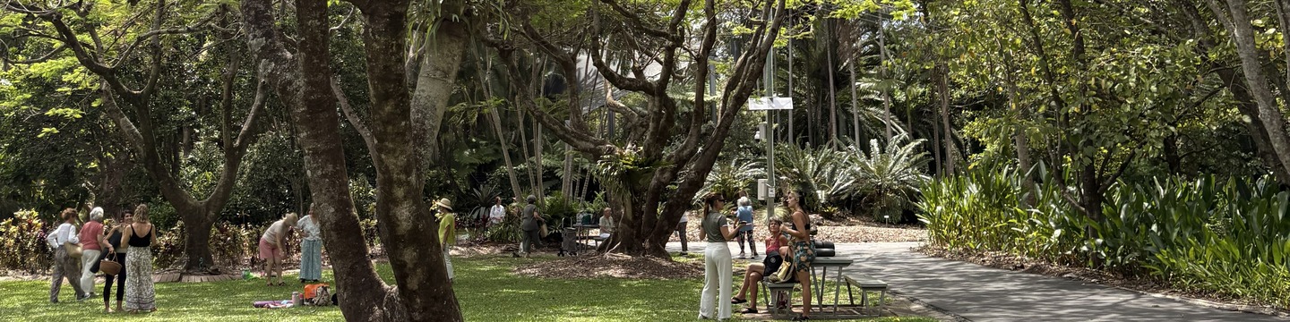 Image of Lake MacDonald from the Noosa Botanic Gardens