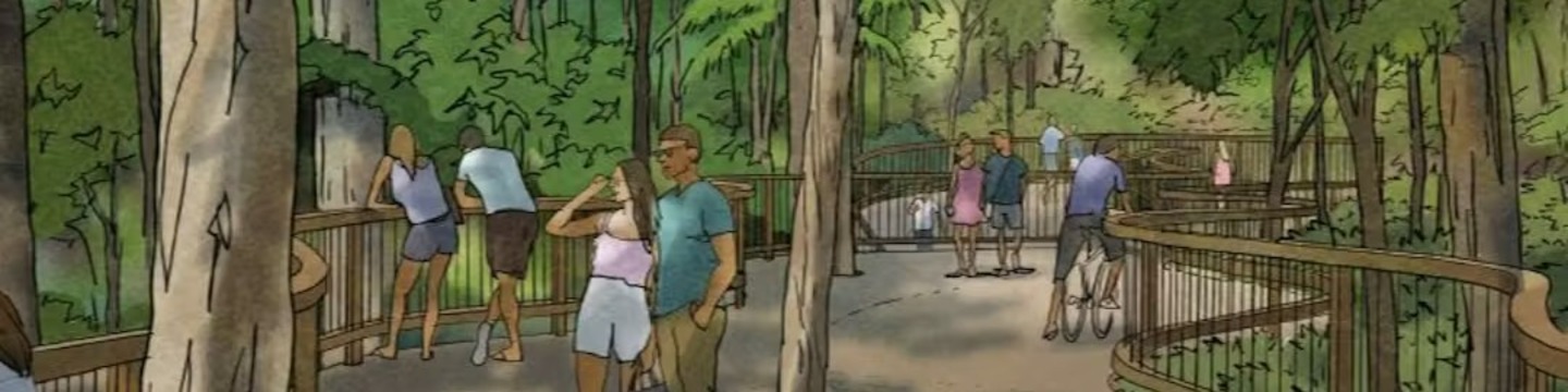 Noosa Drive Pathway