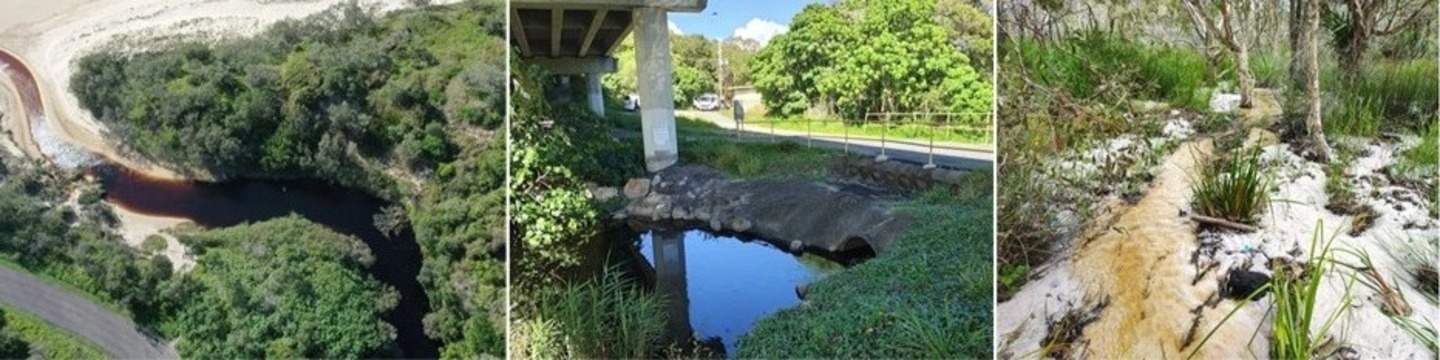 Image of the Burgess Creek outflow to the Coral Sea